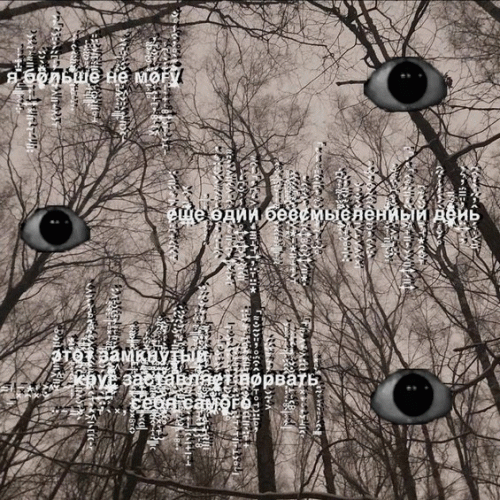 Minuta Agonii : Meow